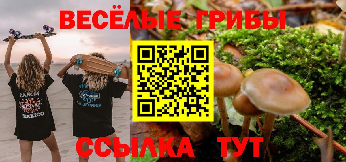 Свободный  Галлюциногенные грибы Psilocybe  Вход с VPN 